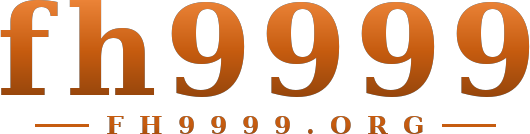 fh9999 logo
